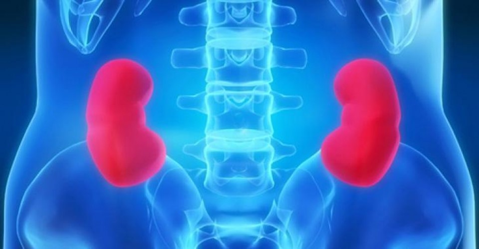 Cintilografia renal com DMSA
