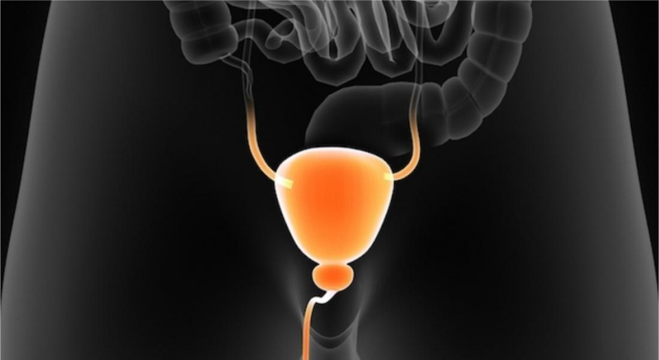 Infecção urinária: mitos e verdades sobre o assunto