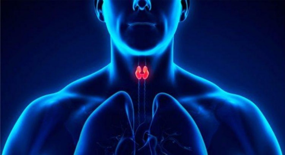 Iodo radioativo como tratamento das doenças benignas da tireoide Iodo radioativo como tratamento das doenças benignas da tireoide